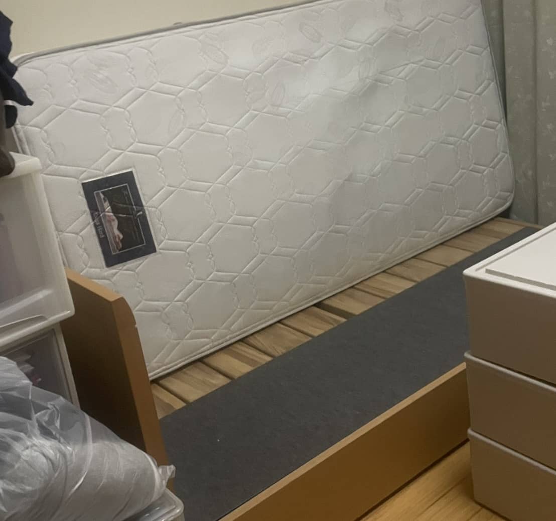 回収前の様子